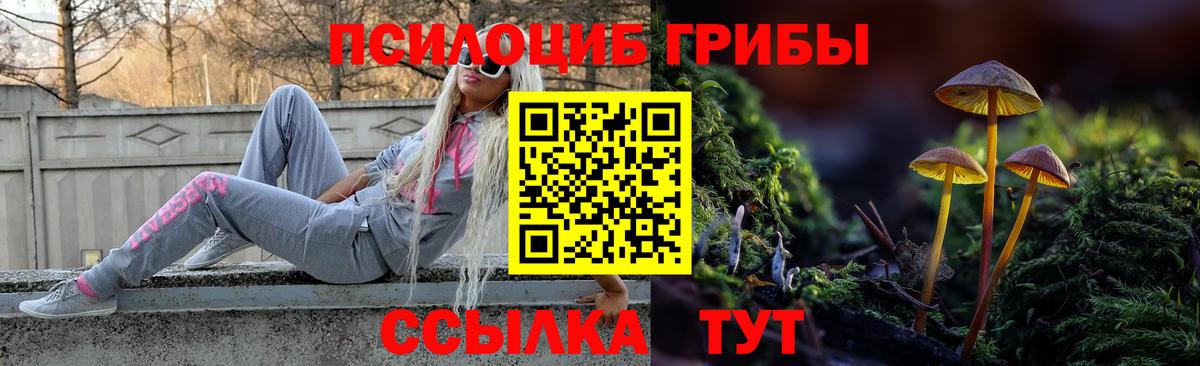 Псилоцибиновые грибы Cubensis  Вход с VPN  Донской 