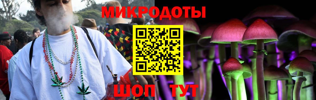 Галлюциногенные грибы прущие грибы Донской